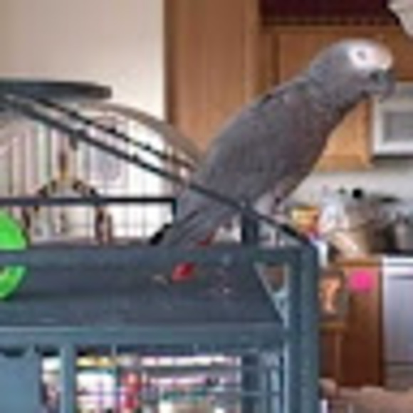 Meet your Posher, Rebecca - Picture 1 of 1